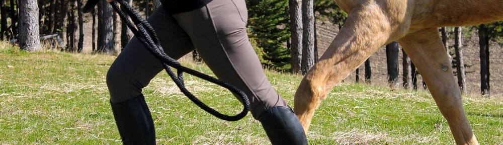 Equestrian Designs