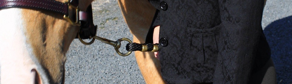 Equestrian Designs