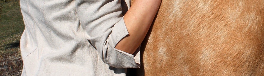 Equestrian Designs