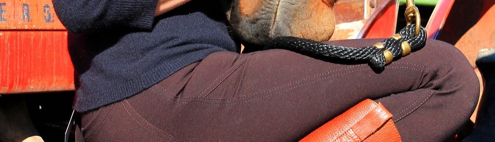 Equestrian Designs