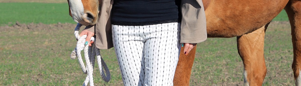 Equestrian Designs